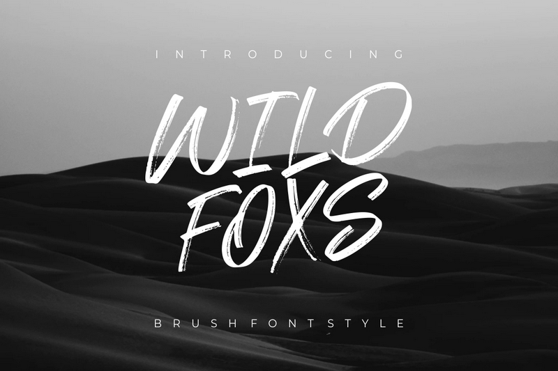 Wild Foxs